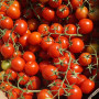 Ачіко F1 насіння помідора черрі детермінантного (Cora Seeds)