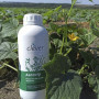 Асковіп (ASCOVIP) добриво (Clever Bioscience)