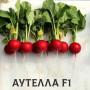 Аутелла F1 семена редиса (Hazera)