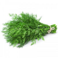 Брум насіння кропу (Lark Seeds)