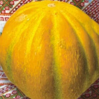 Эфиопка семян дыни (Гелиос)