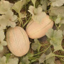 ЕС 25157 F1 (ES 25157 F1) насіння дині (Ergon seeds)