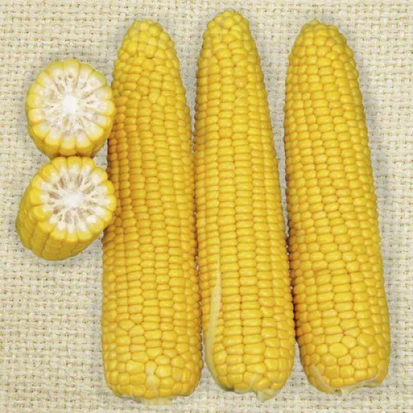 Добрыня F1 семена кукурузы суперсладкой Sh2 (Lark Seeds)