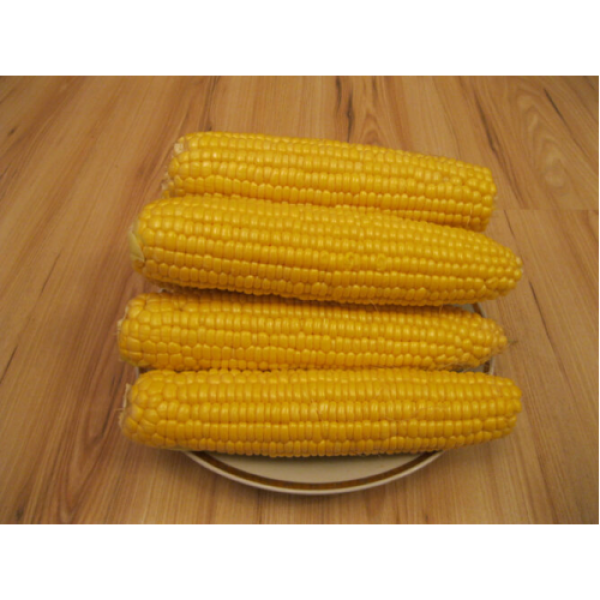 Добрыня F1 семена кукурузы суперсладкой Sh2 (Lark Seeds)