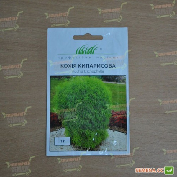 Кипарисова кохія насіння (Hem Zaden)