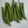 Продиджи семян гороха (Lark Seeds)