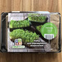 Смачнісімо набір для вирощування мікрозелені (World of Seeds)