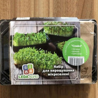 Спайсі набір для вирощування мікрозелені (World of Seeds)