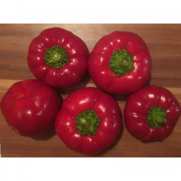 Супремо Росса насіння перцю солодкого (GL Seeds)