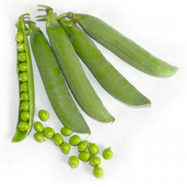 Вондер семена гороха (Lark Seeds)