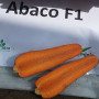 Абако F1 (Abaco F1) (2,2-2,4) семена моркови (Seminis)