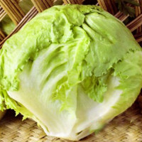 Айсберг Гранди семян салата тип Айсберг (Hortus)