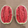 ES 75126 F1 семена арбуза среднего (Ergon seeds)