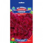 Голіаф червоний (red) насіння агератума (GL Seeds)