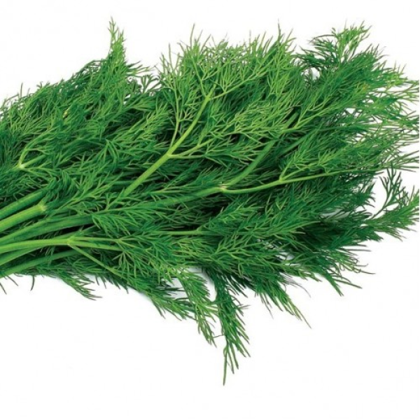 Амброзия семян укропа (Satimex)