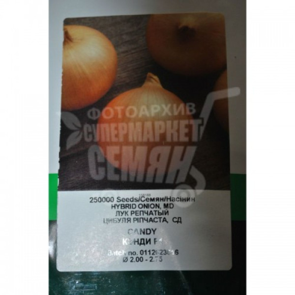 Кенді F1 насіння цибулі ріпчастої жовтої (Seminis)