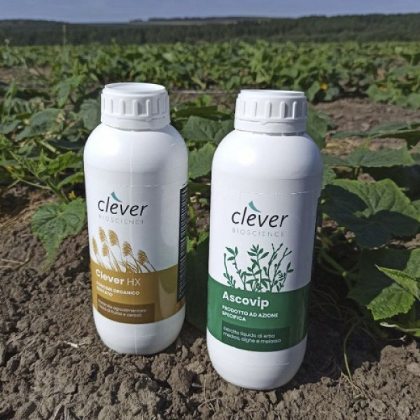 Клевер НХ (СLEVER HX) органическое удобрение (Clever Bioscience)