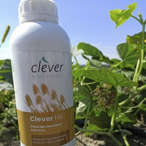 Клевер НХ (СLEVER HX) органическое удобрение (Clever Bioscience)
