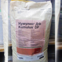 Фунгицид Кумулюс ДФ – BASF