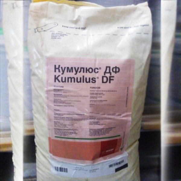 Фунгіцид Кумулюс ДФ - BASF