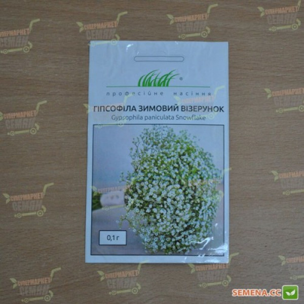 Зимовий візерунок біла насіння гіпсофіли (Hem Zaden)