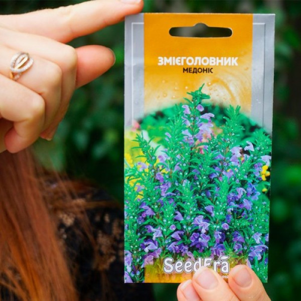 Змієголовник насіння медоноса (Seedera)