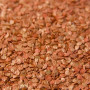 Амулет F1 насіння перцю солодкого (Lucky Seed)