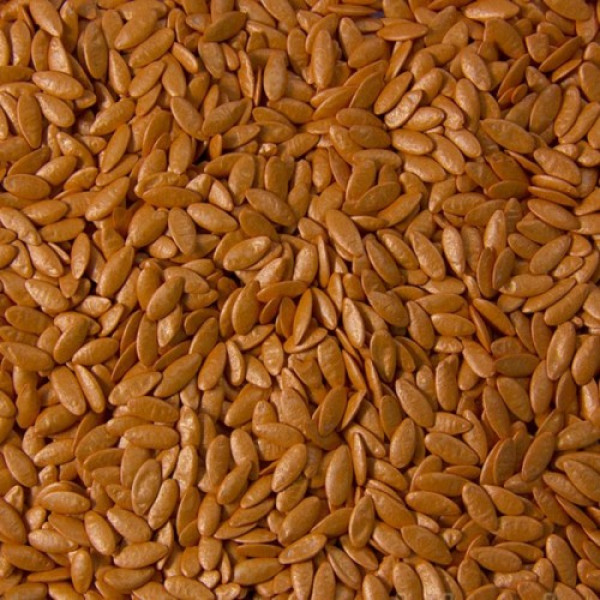 Азарт F1 семена огурца партенокарпического (Lucky Seed)