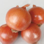 Борнео F1 семена лука репчатого желтого (Takii Seeds)