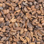 Фацелія (медонос/кормов./сидерат) насіння (Україна)