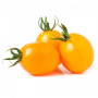 Флоренс F1 семена помидора детерминантного (LibraSeeds)