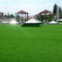 Лилипут Greenfield семян газонной травы (Feldsaaten Freudenberger GmbH)