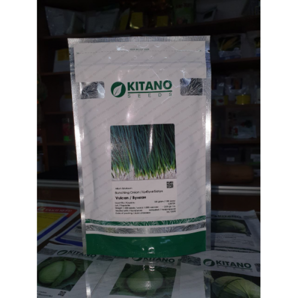 Вулкан насіння цибулі на перо (Kitano Seeds)