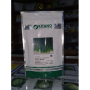 Вулкан насіння цибулі на перо (Kitano Seeds)