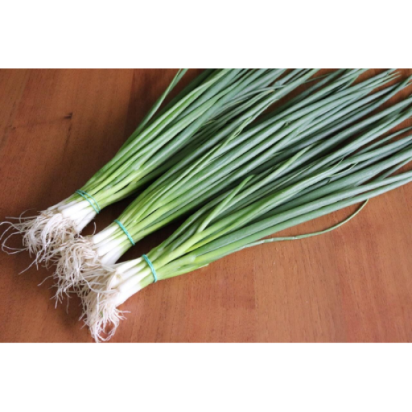 Кімі насіння цибулі на перо (Cora Seeds)
