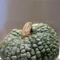 Марина ди Кёжжа семена тыквы (Hortus)