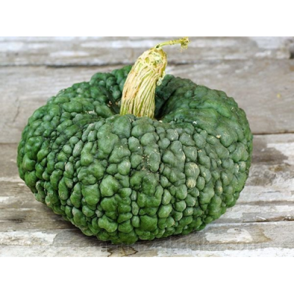 Маріна ді Кьожжа насіння гарбуза (Hortus)