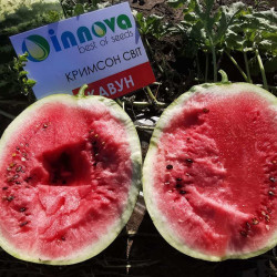 Крымсон Мир семян арбуза среднего (Innova Seeds)