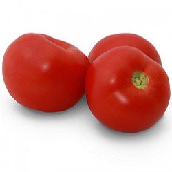 КС 2910 F1 (KS 2910 F1) насіння томата детермінантного (Kitano Seeds)