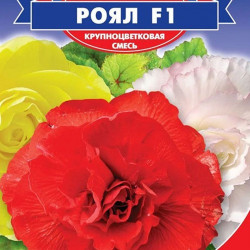Роял F1 суміш (mix) насіння бегонії (GL Seeds)