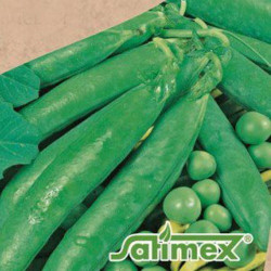 Торнадо семян гороха (Satimex)