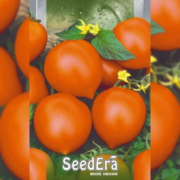 Золото Илины семечки помидора индетерминантного (Seedera)