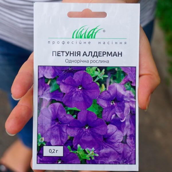 Алдерман насіння петунії (Hem Zaden)