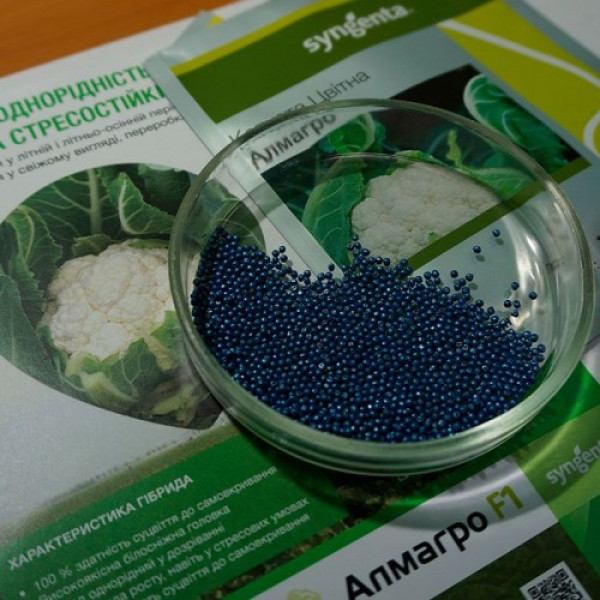Алмагро F1 (Альмагро F1) насіння капусти кольорової (Syngenta)