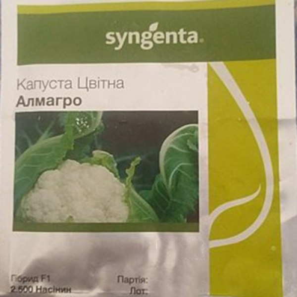 Алмагро F1 (Альмагро F1) насіння капусти кольорової (Syngenta)