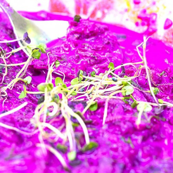 Базилик смесь 5 ароматов семян микрозеленых (Agrocity)