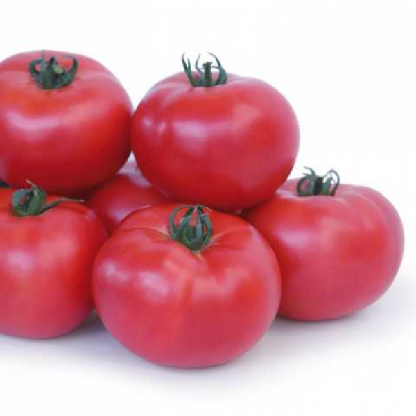 Асано F1 (КС 38 F1) насіння помідора індетермінантного (Kitano Seeds)