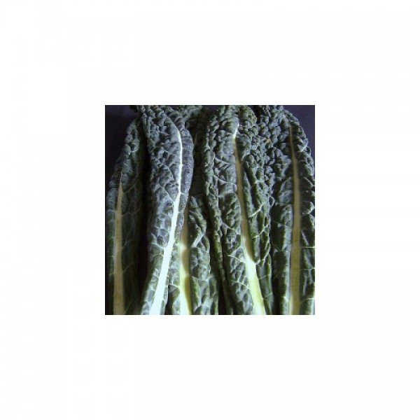 Кале насіння капусти листової (Hortus)