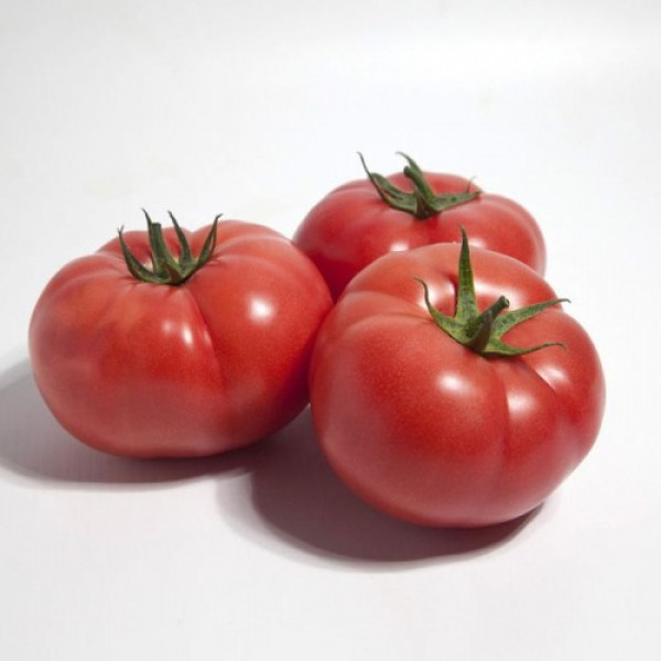 КС 1157 F1 (KS 1157 F1) насіння томату раннього (Kitano Seeds)