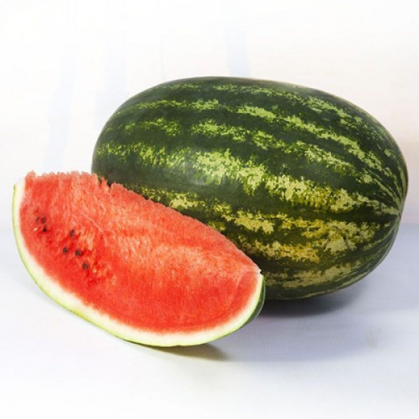 Шейни F1 (KS 163 F1) семена арбуза среднего (Kitano Seeds)